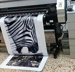 impresion de vinilos