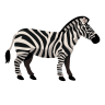 Zebra Vinilos